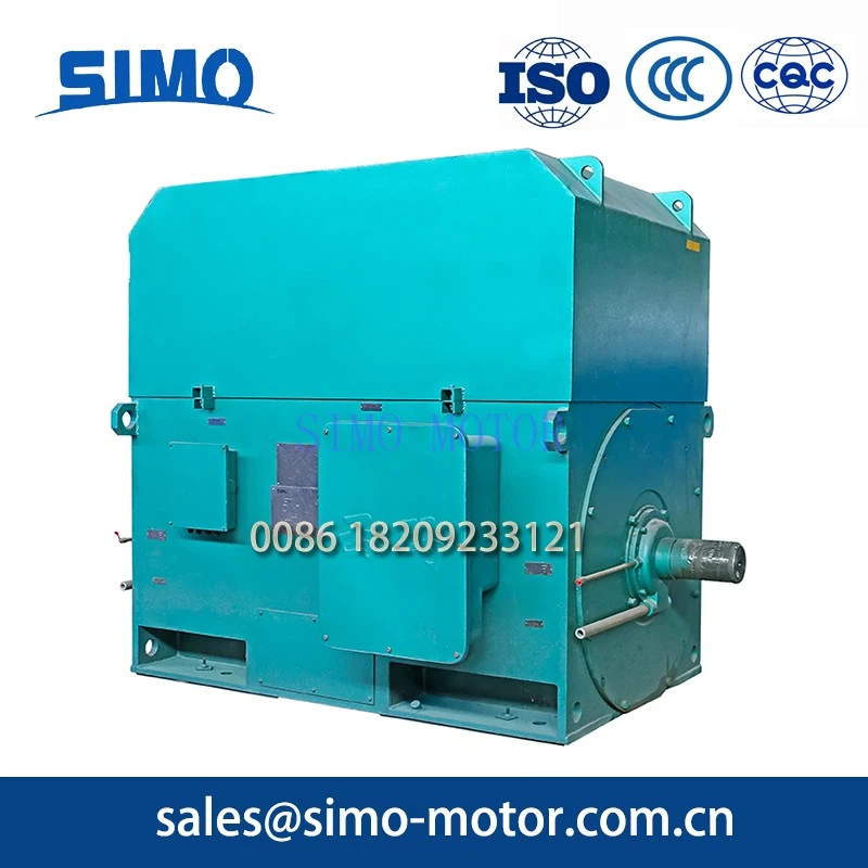 Power Plant High-Voltage Motor4