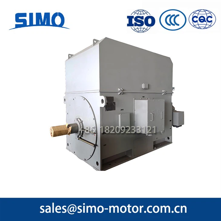 High Voltage Slip Ring Motor